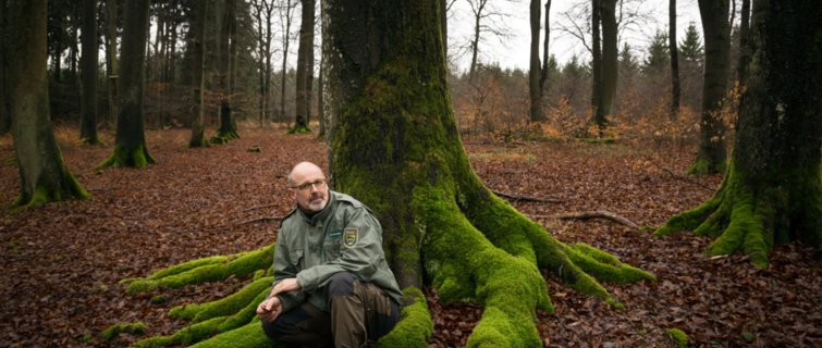 IM电竞-少女时代《人气歌谣》再次一位 黑色裙装性感舞姿吸睛(图2) IM电竞官网