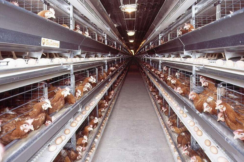 IM电竞:Lady Gaga要当教授 向纽约私立高校递交申请(图1) IM电竞平台