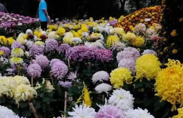 IM电竞|美剧《奔腾年代》上线 女工程师分分钟将你掰弯(图1) IM电竞平台