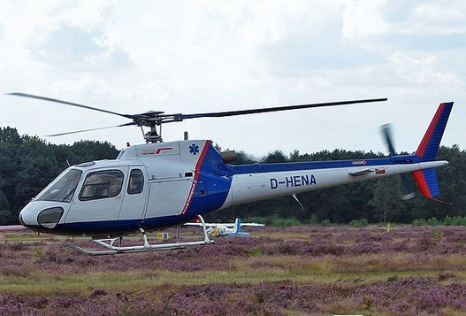 原创 美食推荐:蒸荠菜 、百合小炒、川味椒麻鸡、松仁菠菜卷的做法-IM电竞(图3) IM电竞平台