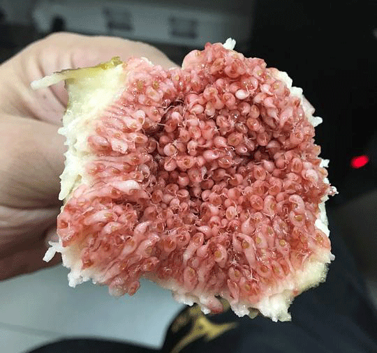 姜素拉将合作尹贤敏 共同出演奇幻剧《鸡龙仙女传》-IM电竞平台(图4) IM电竞官网