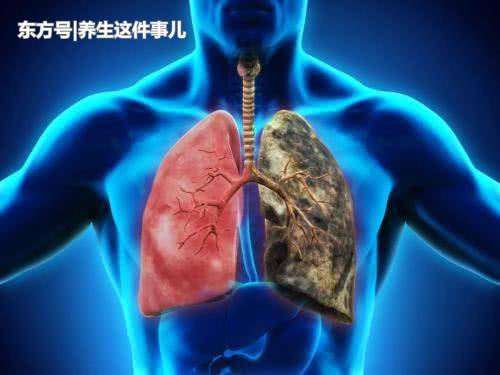 ‘IM电竞官网’精选美食推荐:海带烧肉,角瓜炒鸡蛋,洋葱牛肉丝的做法(图2) IM电竞