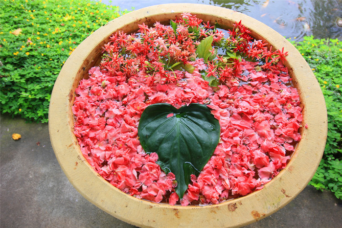 糖卷果的做法_糖卷果怎么做_小艾厨娘的菜谱“IM电竞平台”(图2) IM电竞