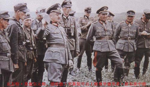 IM电竞