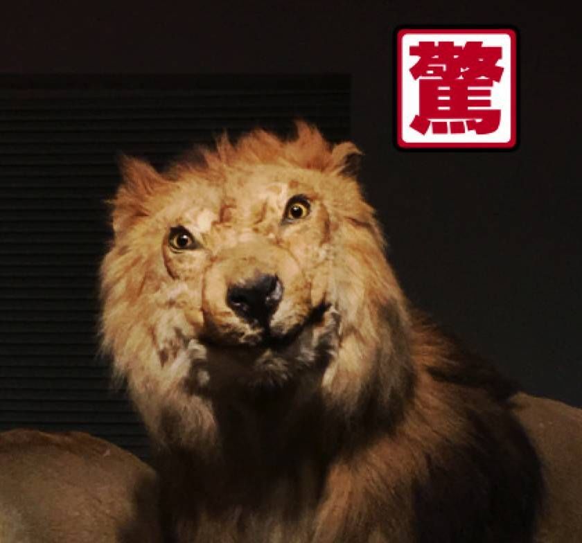 IM电竞平台